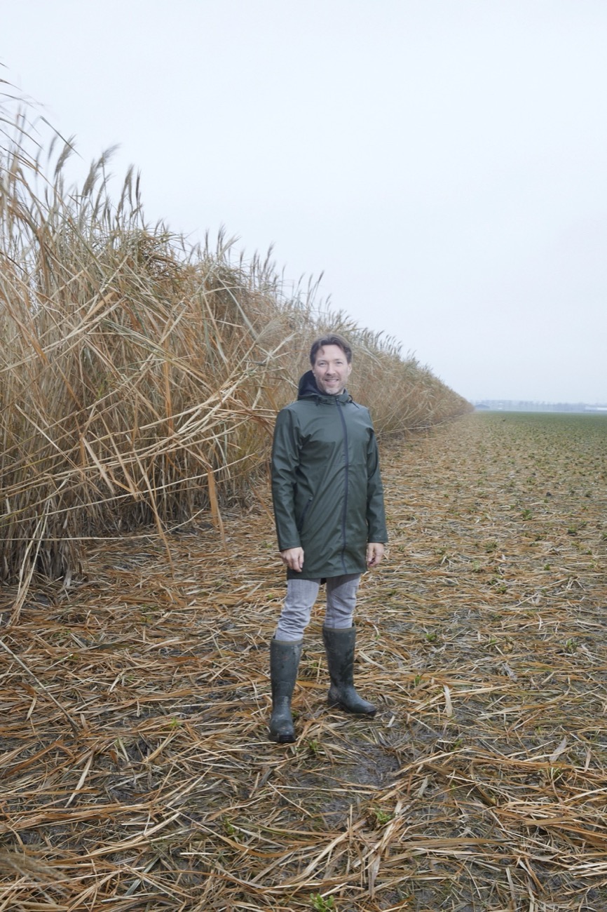 Gertjan de Jong langs het olifantsgras-veld in de polder bij Haarlemmermeer